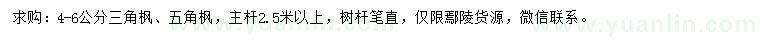 求購4-6公分三角楓、五角楓