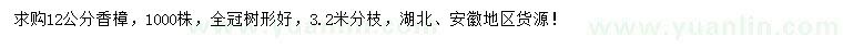 求購12公分香樟