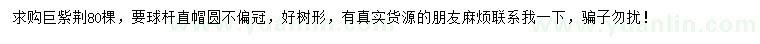 求購巨紫荊
