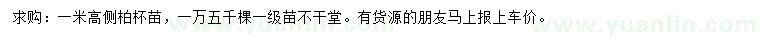 求購高1米側(cè)柏