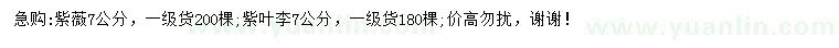 求購7公分紫薇