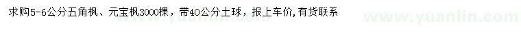求購5-6公分五角楓、元寶楓
