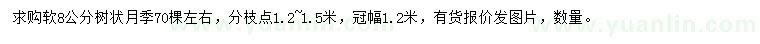 求購(gòu)8公分月季