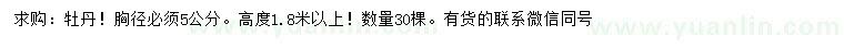 求購胸徑5公分牡丹