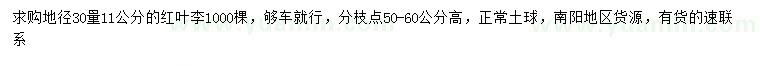 求購(gòu)30量11公分紅葉李