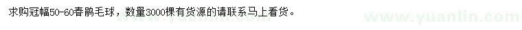 求購冠幅50-60公分春鵑毛球