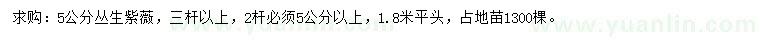 求購5公分叢生紫薇
