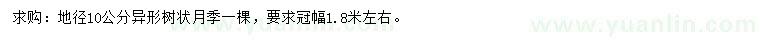 求購地徑10公分月季