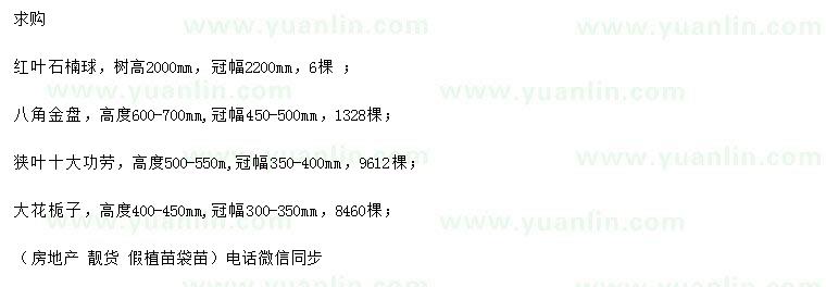 求購(gòu)紅葉石楠球、八角金盤、狹葉十大功勞等