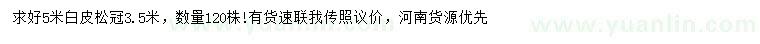 求購5米白皮松