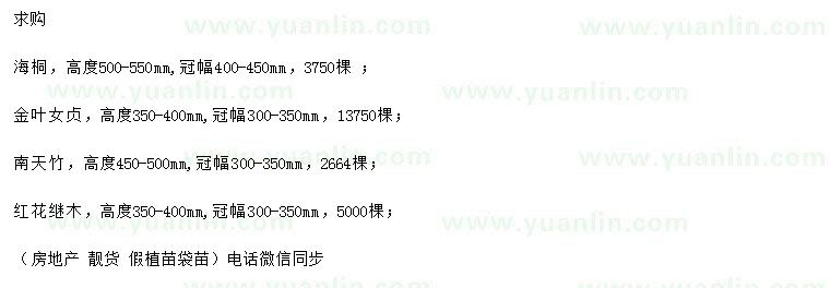 求購海桐、金葉女貞、南天竹等