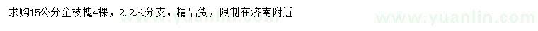 求購15公分金枝槐