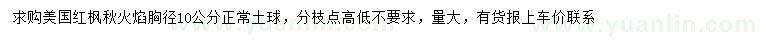 求購胸徑10公分美國紅楓秋火焰