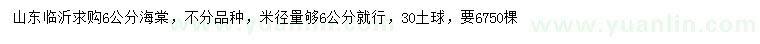 求購6公分海棠