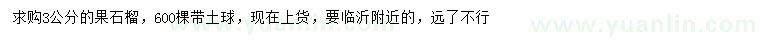 求購3公分果石榴