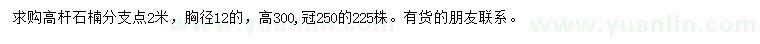 求購胸徑12公分高桿石楠