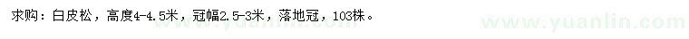 求購(gòu)高4米白皮松