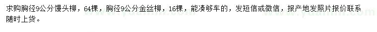 求購(gòu)胸徑9公分饅頭柳、金絲柳
