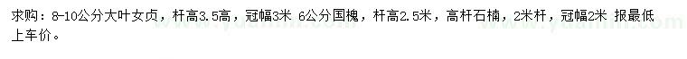 求購大葉女貞、國槐、高桿石楠