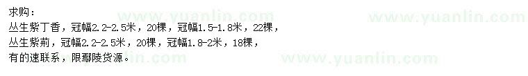 求購冠幅1.5-1.8、2.2-2.5米叢生紫丁香、1.8-2、2.2-2.5米叢生紫荊