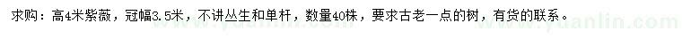 求購(gòu)高4米紫薇