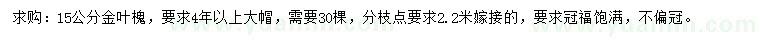求購15公分金葉槐