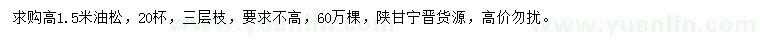 求購高1.5米油松