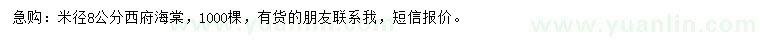 求購米徑8公分西府海棠