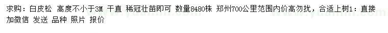 求購高足3米白皮松