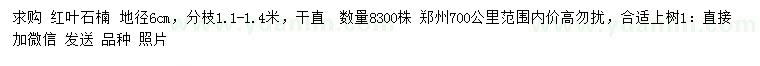 求購地徑6公分紅葉石楠 