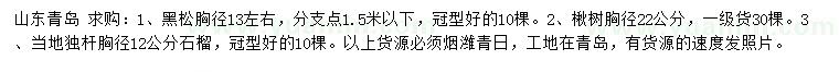 求購胸徑13左右黑松、22公分楸樹