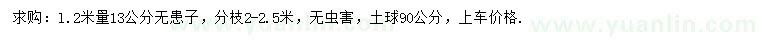 求購(gòu)l.2米量13公分無(wú)患子