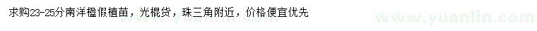 求購23-25公分南洋楹