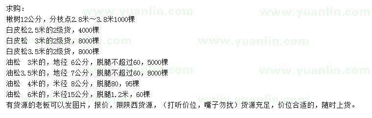 求購楸樹、白皮松、油松