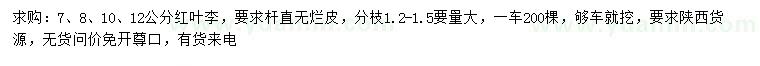 求購7、8、10、12公分紅葉李