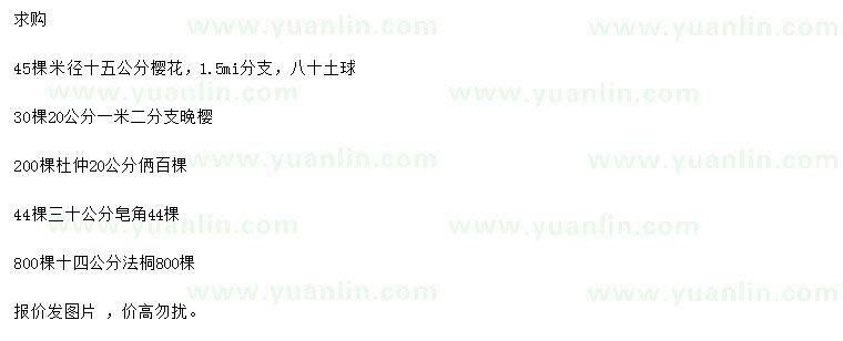 求購櫻花、晚櫻、皂角等