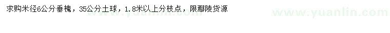 求購(gòu)米徑6公分垂槐