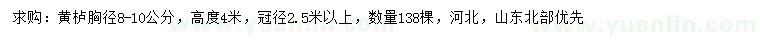 求購胸徑8-10公分黃櫨