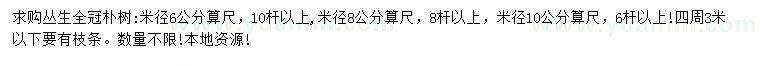 求購米徑6、8、10公分叢生樸樹