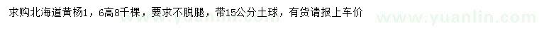 求購(gòu)高1.6米北海道黃楊