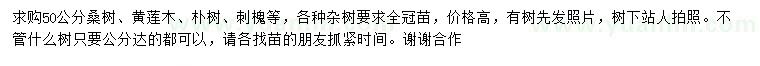 求購桑樹、黃連木、樸樹等