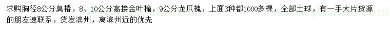 求購(gòu)臭椿、高接金葉榆、龍爪槐