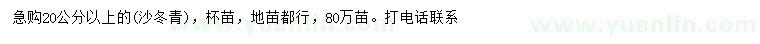 求購20公分以上沙冬青