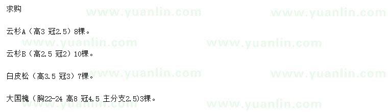 求購(gòu)云杉、白皮松、國(guó)槐等