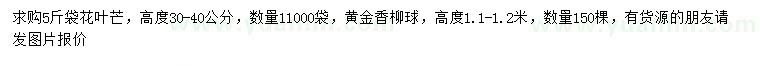 求購高30-40公分花葉芒、高1.1-1.2米黃金香柳球