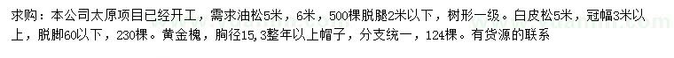 求購(gòu)油松、白皮松、黃金槐