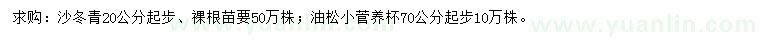 求購20公分沙冬青、70公分油松