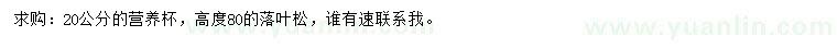 求購高80公分落葉松