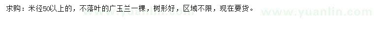 求購米徑50公分以上廣玉蘭