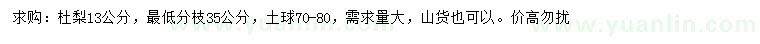 求購(gòu)13公分杜梨